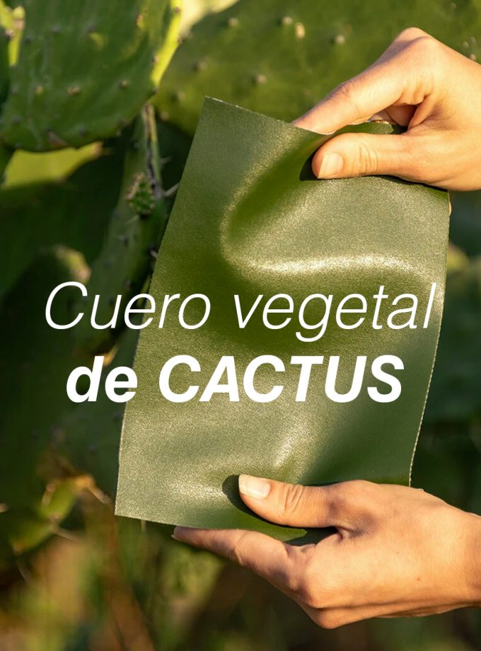 Bolso de Cactus Negro