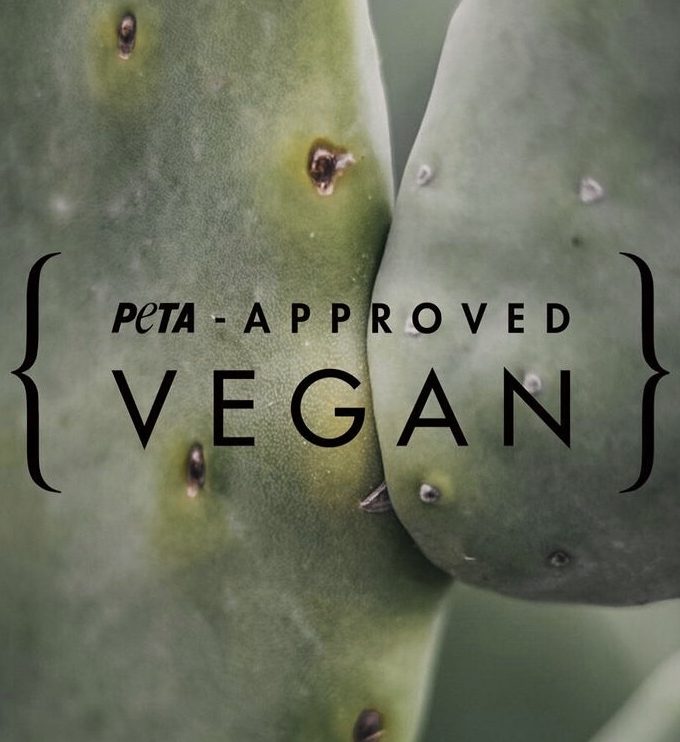 Bolso de Cactus Negro