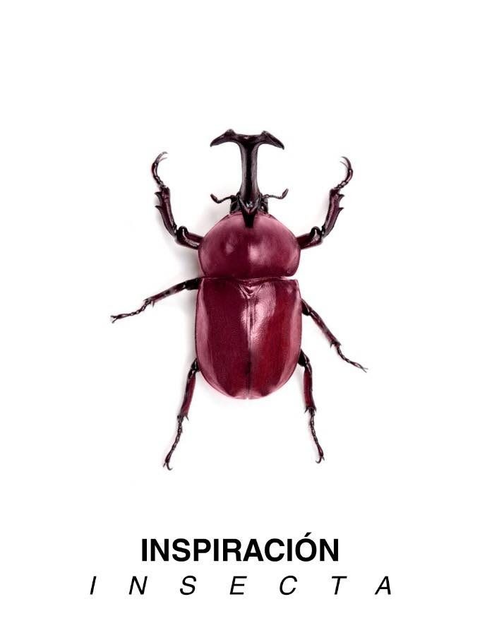 Vintage Violet Backpack