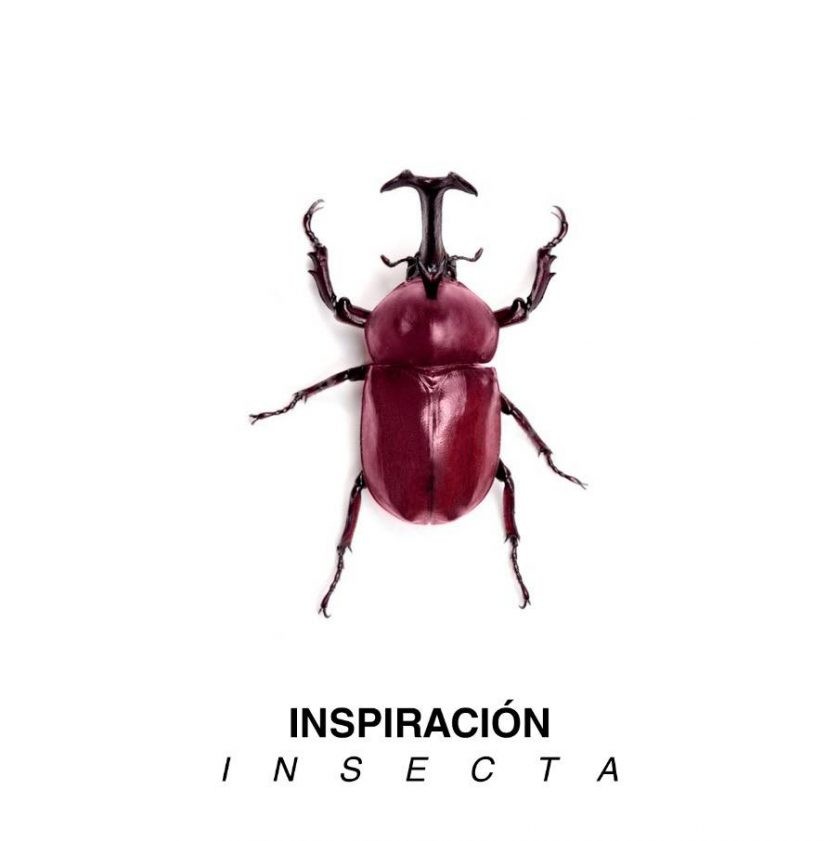 Inspiración Insecta