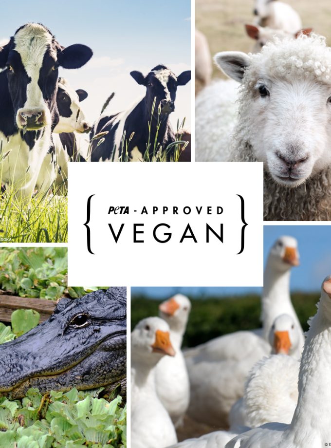 Maletín - Mochila L Marrón Madera